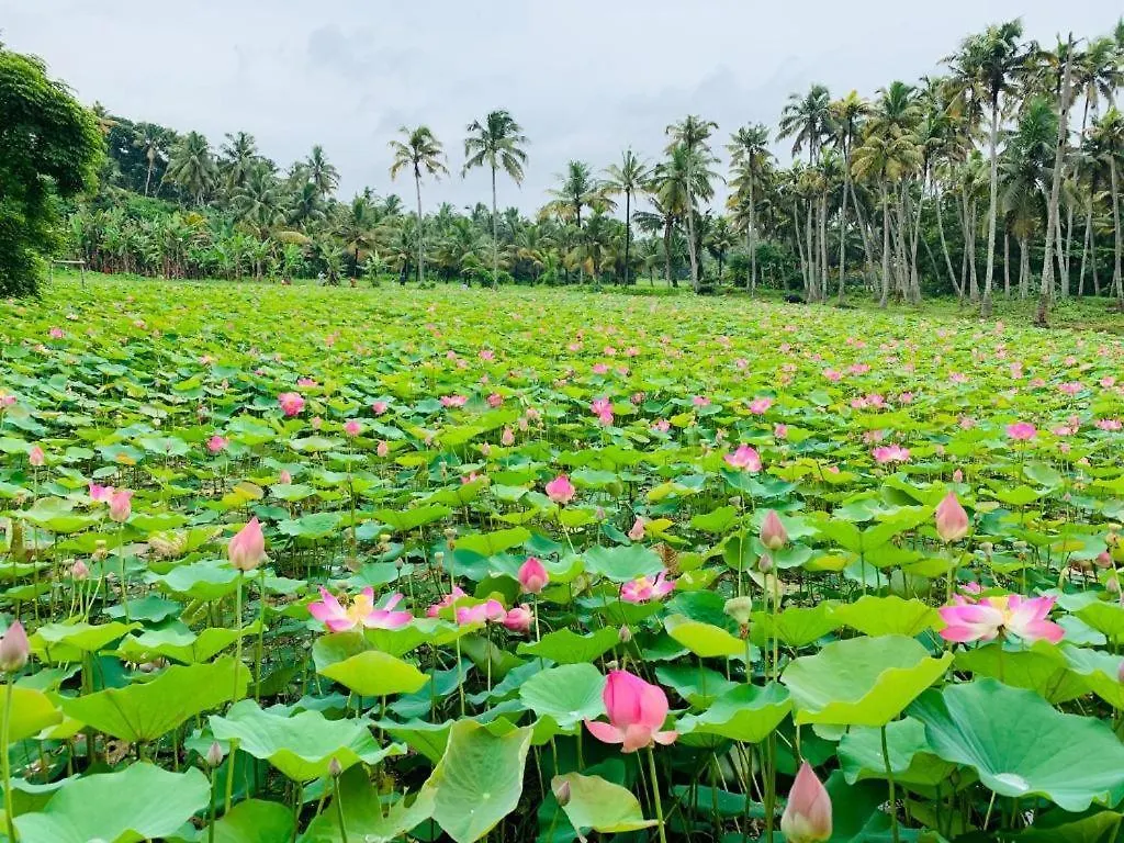 Maadathil Cottages & Beach Resort Varkala